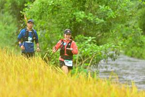 BIB: 1198
                            <button type="button" onclick="openModal(13456524)" class="btn btn-primary btn-sm float-right btn-popup" data-toggle="modal" data-target=".modal-high-quality">
                        <i class="fas fa-shopping-cart"></i> Add to Cart
                    </button>
                                            <button type="button" onclick="isThisMe(13456524, true)" class="btn btn-success btn-sm float-right btn-popup btn-isme hidden" data-toggle="tooltip" data-placement="bottom" title="นี่คือรูปของคุณใช่ไหม คลิกที่นี่เพื่อเอาเข้าอัลบั้ม">
                        <i class="fas fa-plus"></i> Add to album
                    </button>
                    <button type="button" onclick="isThisMe(13456524, false)" class="btn btn-warning btn-sm float-right btn-popup btn-isnotme hidden">
                        <i class="fas fa-ban"></i> Remove from album
                    </button>